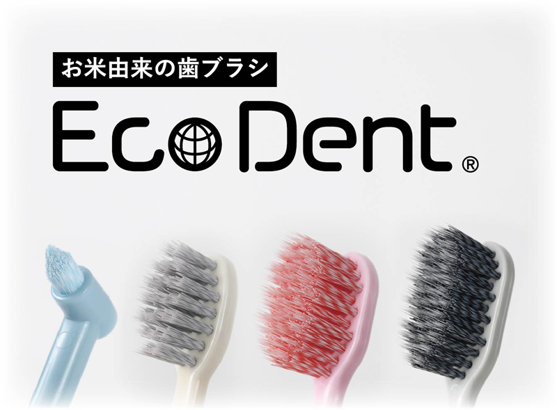 ラピス株式会社　Eco  Dent.jpg